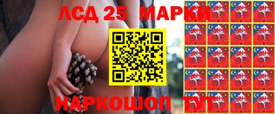 мяу мяу мука Краснокаменск