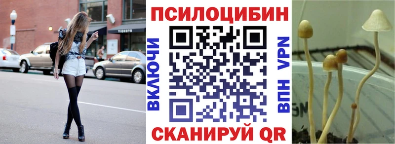 Купить закладки  Котлас  Галлюциногенные грибы прущие грибы 