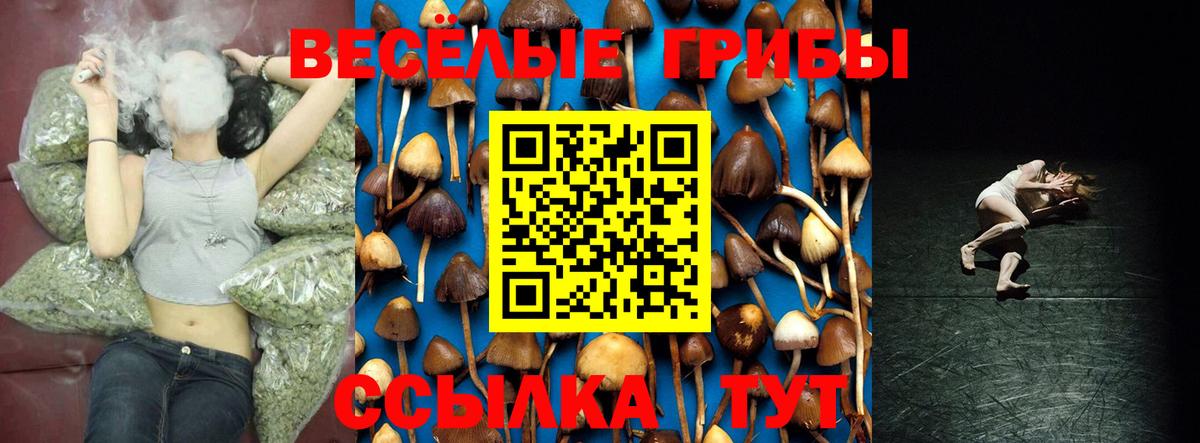 Псилоцибиновые грибы мицелий Котлас
