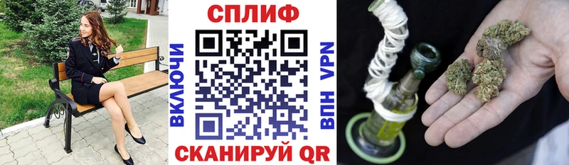 Купить  Котлас  Бошки Шишки план 