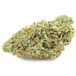 Шишки OG Kush  (Гидропоника, бошки) VHQ в Котласе